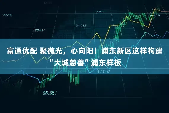 富通优配 聚微光，心向阳！浦东新区这样构建“大城慈善”浦东样板