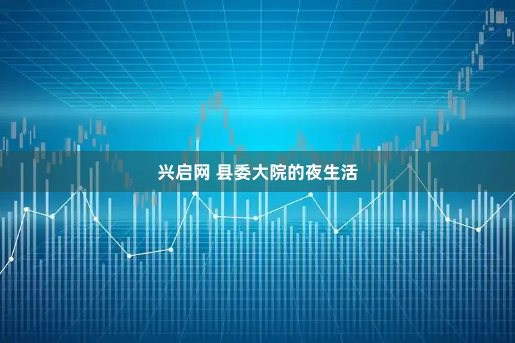 兴启网 县委大院的夜生活